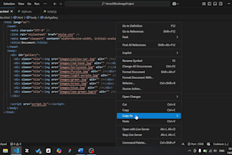 teach HTML, CSS, javascript, react online coding lessons