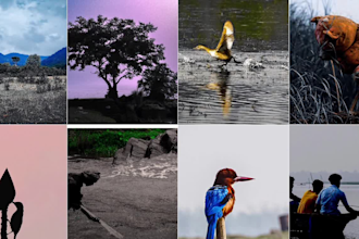 edit stunning photos for instagram and facebook