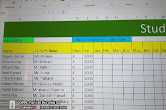 be your expert data entry and excel specialist