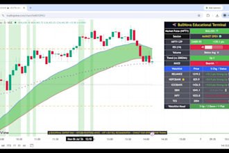 create a professional custom branded trading view indicator