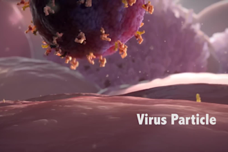 create 3d pharmaceutical animation and drug mechanism of action video
