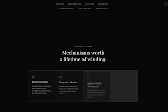 create a professional website and host it