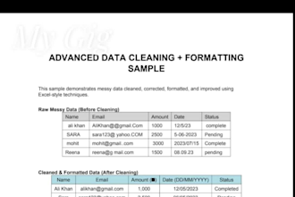 clean, format and organize excel data accurately