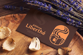 vais concevoire un logo moderne et pro en 72h