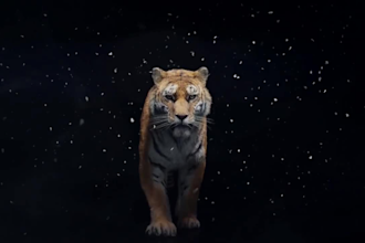 do 3d animation, 3d animal modeling, rigging and kids animation video
