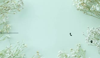 create a professional minimalist logo that stands out