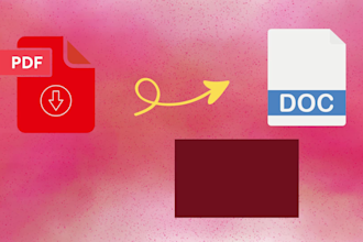 do PDF to word conversion professionally
