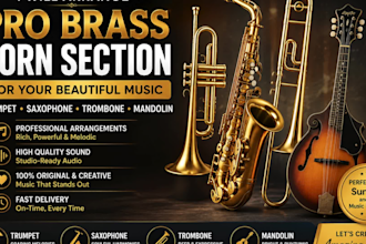 record pro brass horn section trumpet, saxophone, trombone, mandolin