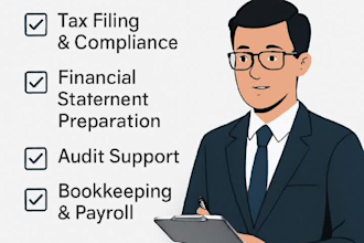 financial statements preparation, analysis, bookkeeping, budgeting, financing