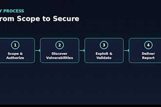 do professional web and mobile app penetration testing