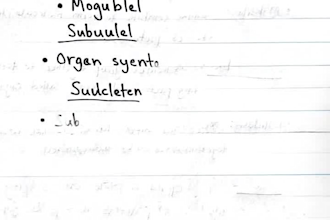 write anything in my hand writing