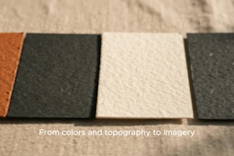 create a professional brand mood board and visual direction