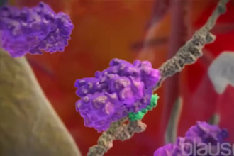 design 3d clinical trial  mechanism of action moa animation