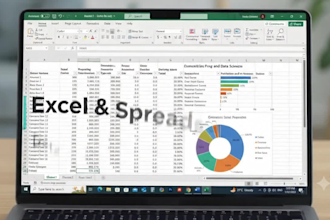 clean and enter the data for data entry in exel sheets