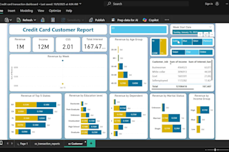 do financial reporting, analysis, dashboarding and bookkeeping