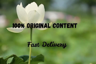 provide fast and accurate typing and content writing