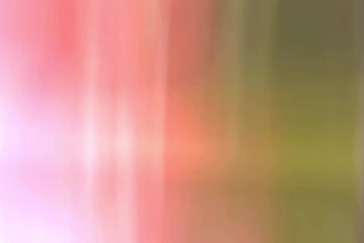do proof of concept, realistic seedance, seedance 2 5 for seedance videos
