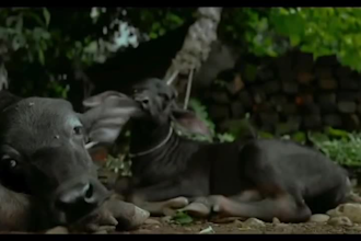 edit cinematic travel videos