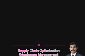 provide professional warehouse management and supply chain consultancy