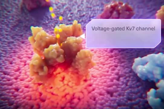 create professional 3d medical animation videos and cgi medical explainers