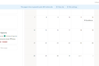 notion template notion dashboard notion automation notion expert