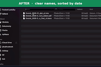 organize files, rename and sort them automatically
