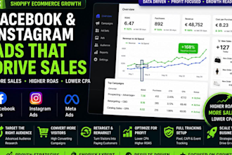 run shopify facebook meta instagram ads ecommerce campaigns sales and roas pins