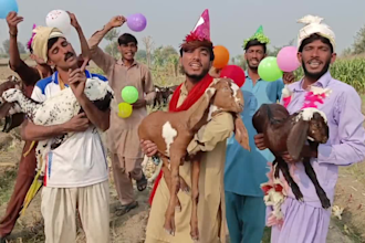 african happy birthday video african happy birthday video