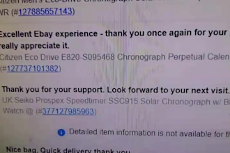 manage your ebay account as a professional virtual assistant VA