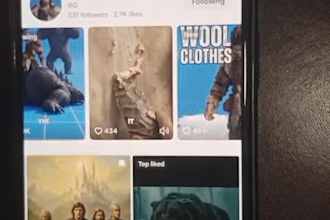 remove video copyrights for you