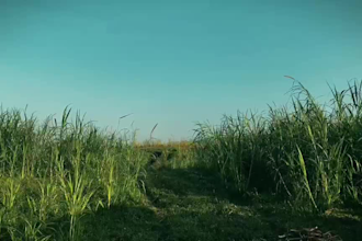 professionally edit cinematic videos synced to your music