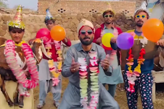 do african happy birthday video african happy birthday video