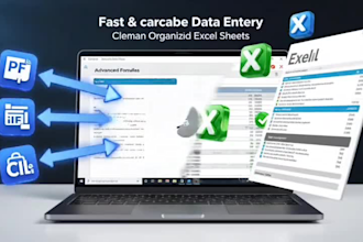 format and organize messy excel or CSV data professionally