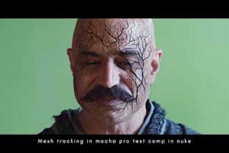 do mesh tracking in mocha pro