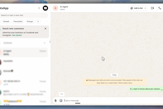 build a whatsapp ai agent automation for you