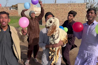 wish happy birthday video or say any message
