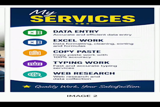 professional and accurate data entry, excel work, copy paste typing and web re 1