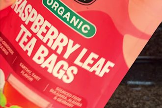 create ugc content for family brands in english spanish