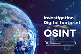 conduct a professional osint investigation
