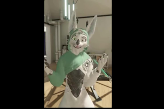 custom vrchat furry avatar, 3d fursona vtuber model with facial expressions vrm
