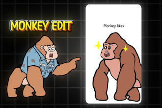 do monkey economics paint explianer videos