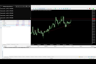 build a custom python trading bot for binance and mt5