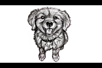 draw a realistic handdrawn pencil sketch potrait from photo
