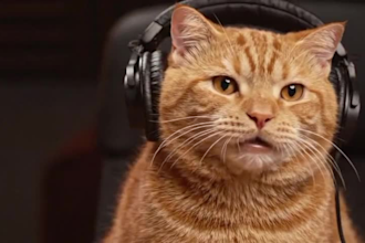 create ai talking dog and cat videos, pet podcasts, and funny animal video