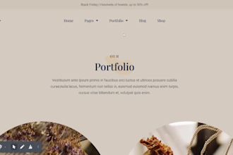 edit wordpress website, customization and update website