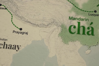 create vox style map animations using after effects