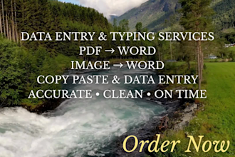 do data entry typing and copy paste work