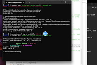 custom mcp server developer