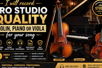 record pro studio quality violin, piano or viola for your song