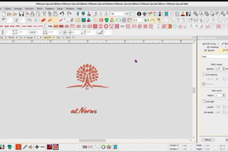 embroidery digitizing for logo cap hat 3d puff dst pes 6 hrs